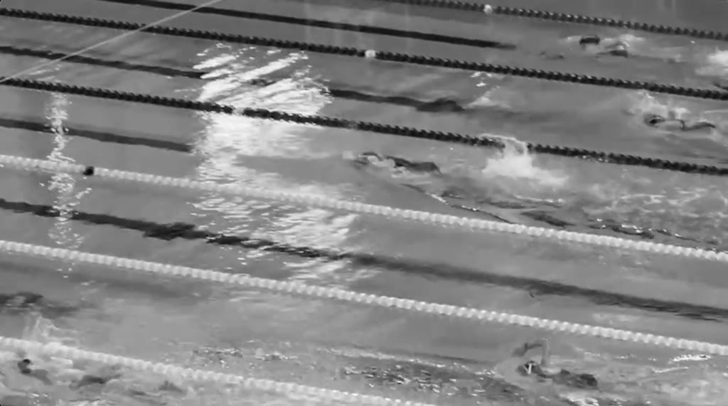 Jili swimming in a pool race
