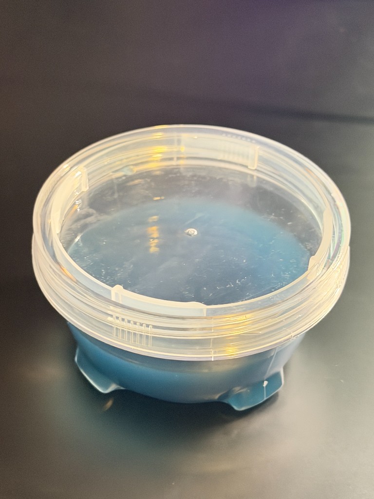 Purple Special Big Jelly slime in a round container